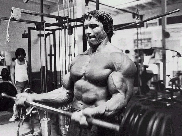 ARNOLD TRANSITIONING