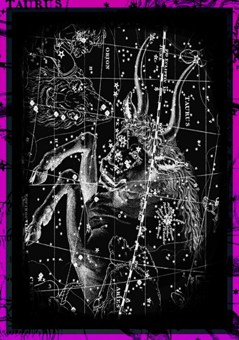 TAURUS RISING 2014