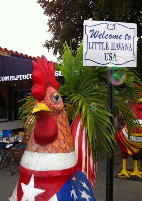 LITTLE HAVANA 2015