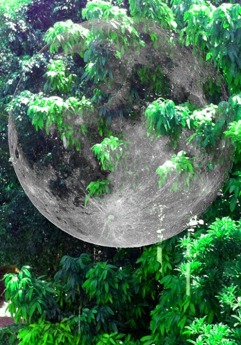 EARTH MOON