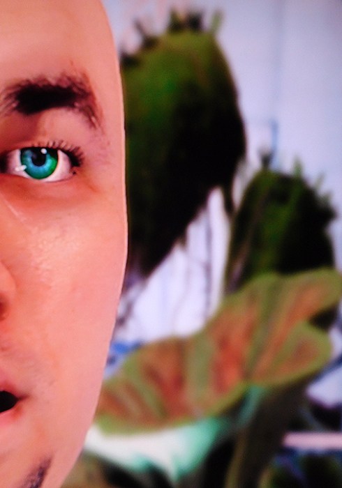 924COLLECTIVE AVATAR